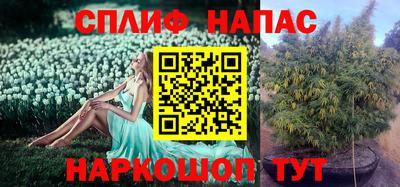 прущая мука Можайск