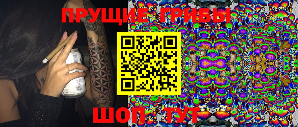 Псилоцибиновые грибы Cubensis Брянск
