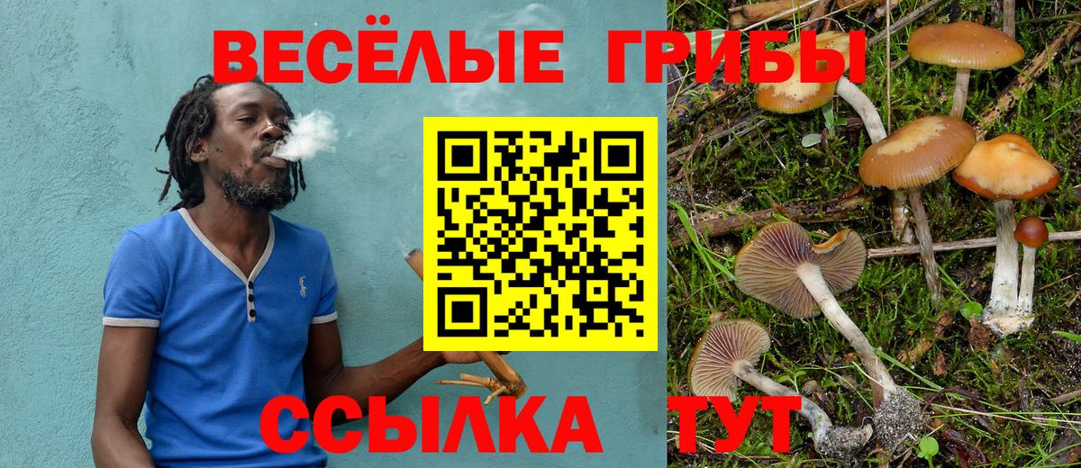 Псилоцибиновые грибы Psilocybe  Галлюциногенные грибы ЛСД  Вход с VPN  Брянск 